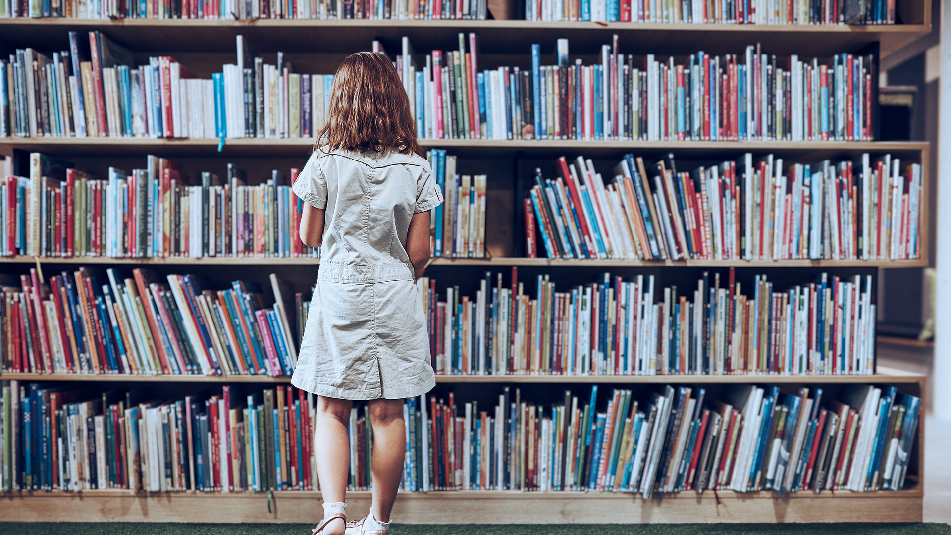 kidslibrary_hdv